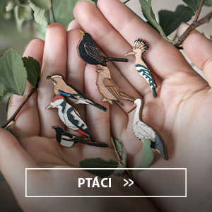 ptaci_new